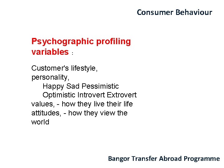 Consumer Behaviour Psychographic profiling variables : Customer's lifestyle, personality, Happy Sad Pessimistic Optimistic Introvert