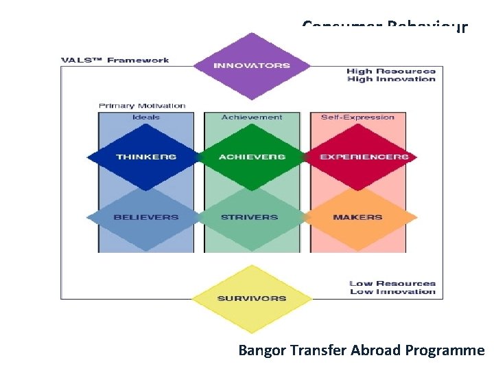 Consumer Behaviour Bangor Transfer Abroad Programme 