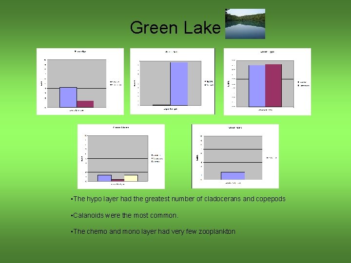 Green Lake • The hypo layer had the greatest number of cladocerans and copepods