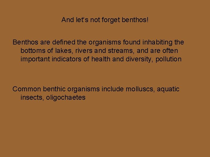 And let’s not forget benthos! Benthos are defined the organisms found inhabiting the bottoms