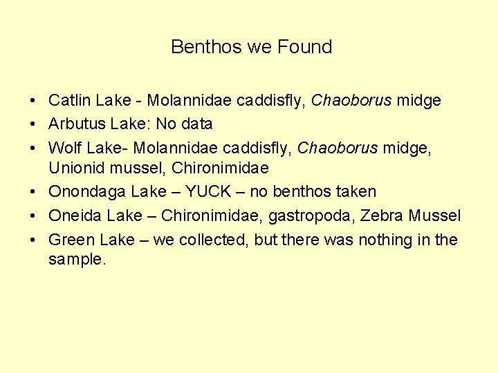 Benthos we Found • Catlin Lake - Molannidae caddisfly, Chaoborus midge • Arbutus Lake: