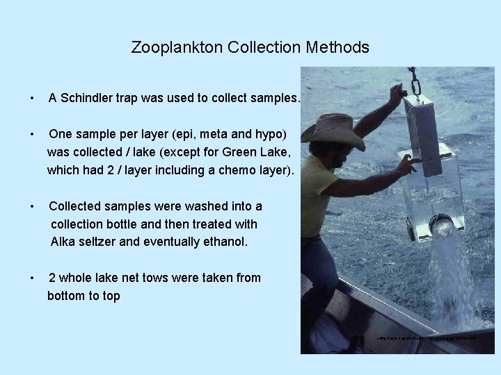 Zooplankton Collection Methods • A Schindler trap was used to collect samples. • One