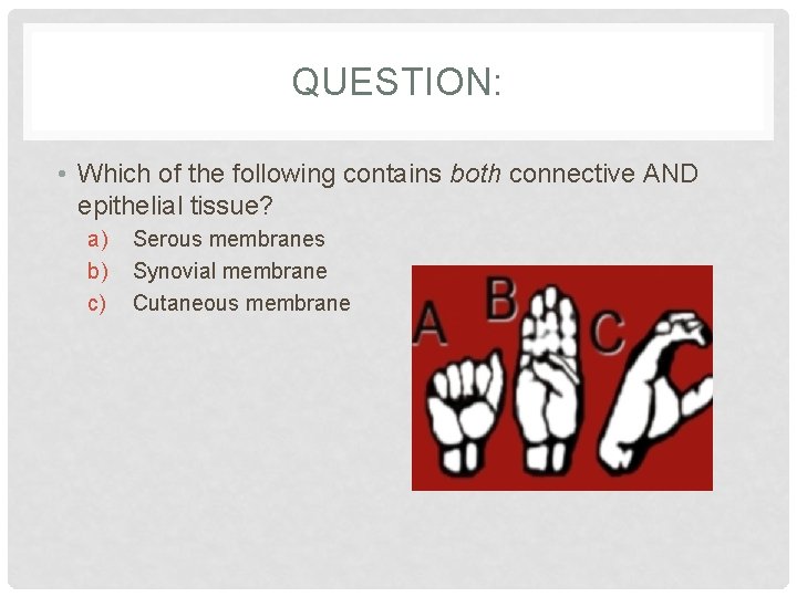 QUESTION: • Which of the following contains both connective AND epithelial tissue? a) b)