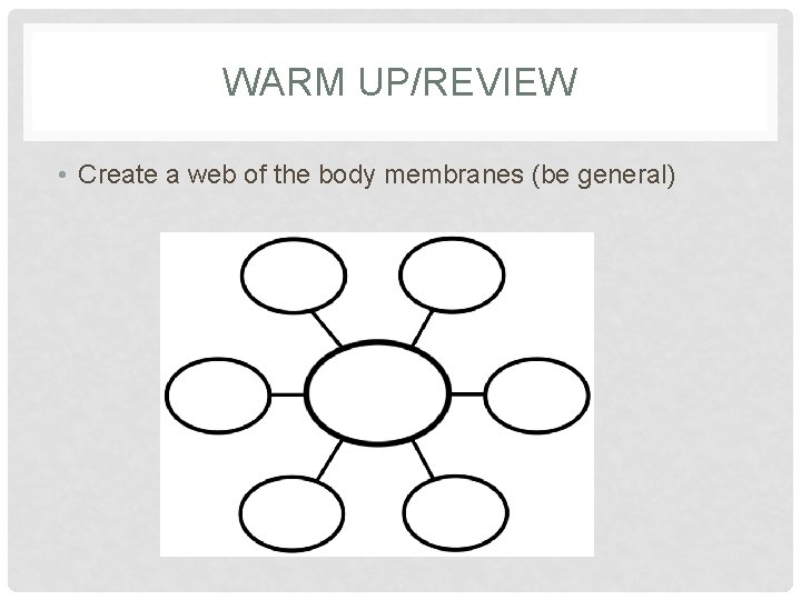 WARM UP/REVIEW • Create a web of the body membranes (be general) 