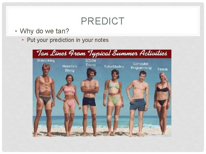 PREDICT • Why do we tan? • Put your prediction in your notes 