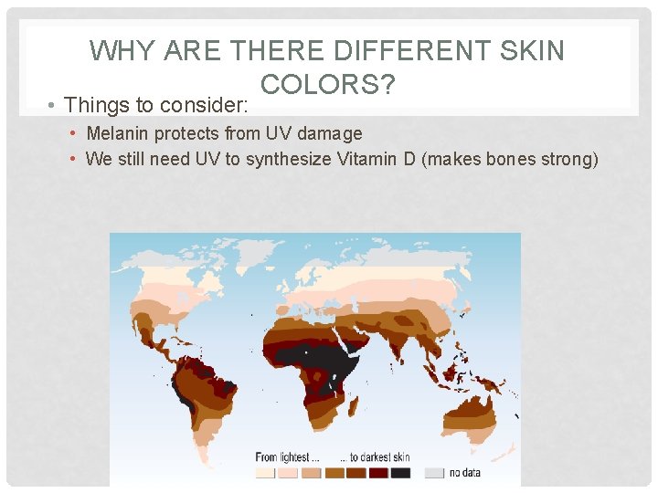 WHY ARE THERE DIFFERENT SKIN COLORS? • Things to consider: • Melanin protects from