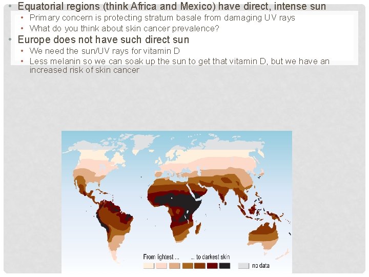  • Equatorial regions (think Africa and Mexico) have direct, intense sun • Primary