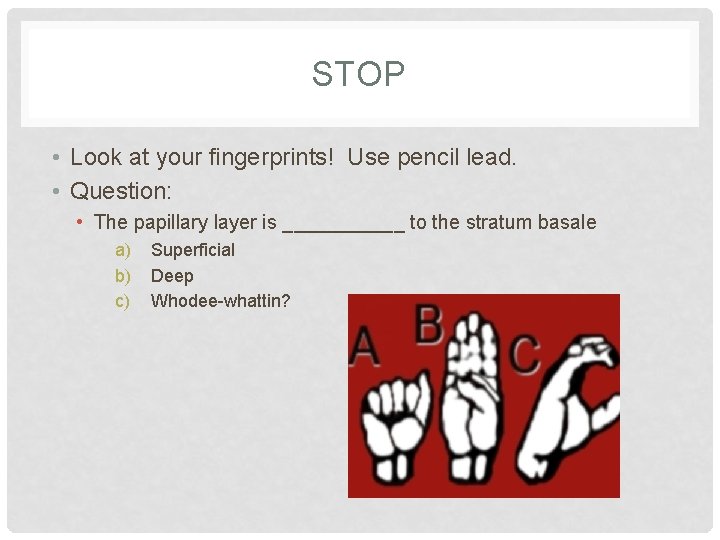 STOP • Look at your fingerprints! Use pencil lead. • Question: • The papillary