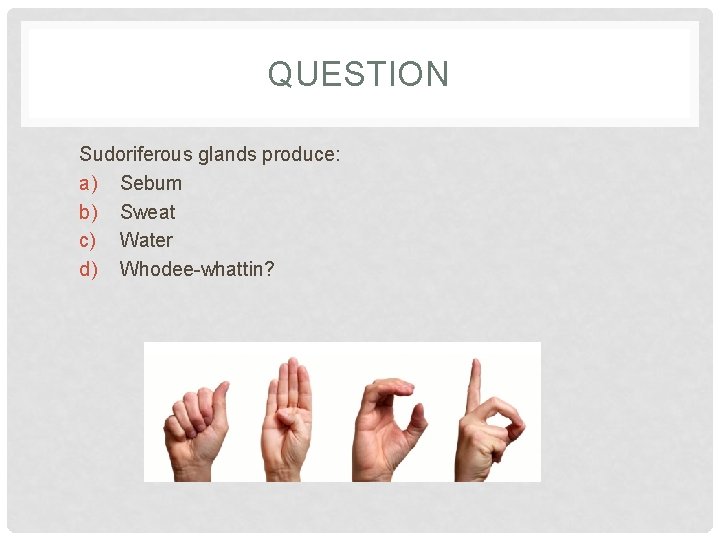 QUESTION Sudoriferous glands produce: a) Sebum b) Sweat c) Water d) Whodee-whattin? 