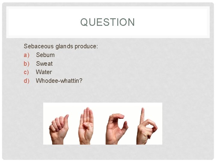 QUESTION Sebaceous glands produce: a) Sebum b) Sweat c) Water d) Whodee-whattin? 