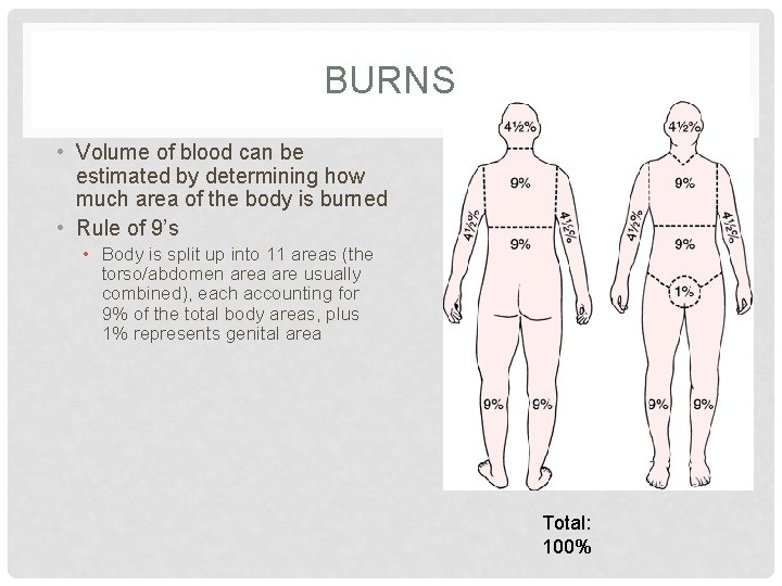 BURNS • Volume of blood can be estimated by determining how much area of