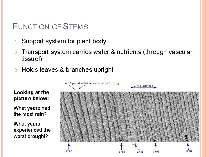 FUNCTION OF STEMS 1. Support system for plant body 2. Transport system carries water