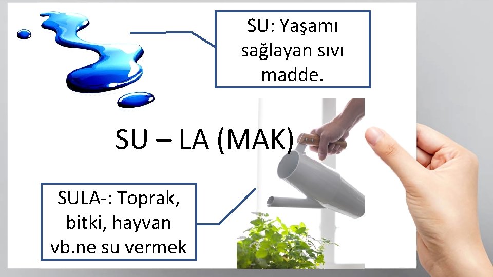 SU: Yaşamı sağlayan sıvı madde. SU – LA (MAK) SULA-: Toprak, bitki, hayvan vb.