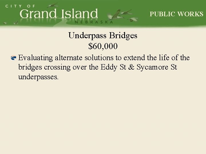 PUBLIC WORKS Underpass Bridges $60, 000 Evaluating alternate solutions to extend the life of