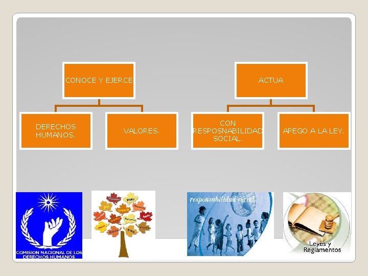 CONOCE Y EJERCE DERECHOS HUMANOS. VALORES. ACTUA CON RESPOSNABILIDAD SOCIAL. APEGO A LA LEY.