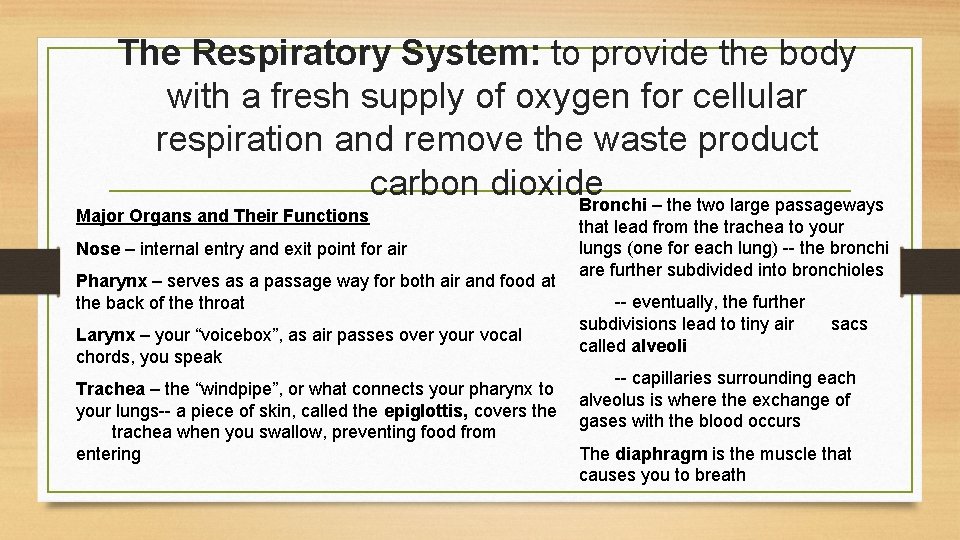 The Respiratory System: to provide the body with a fresh supply of oxygen for