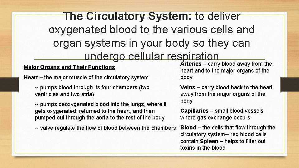 The Circulatory System: to deliver oxygenated blood to the various cells and organ systems