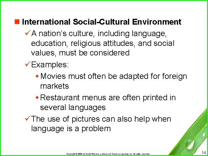 n International Social-Cultural Environment üA nation’s culture, including language, education, religious attitudes, and social