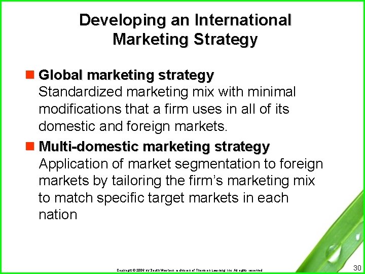 Developing an International Marketing Strategy n Global marketing strategy Standardized marketing mix with minimal
