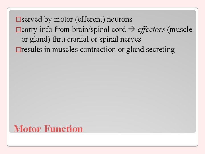 �served by motor (efferent) neurons �carry info from brain/spinal cord effectors (muscle or gland)