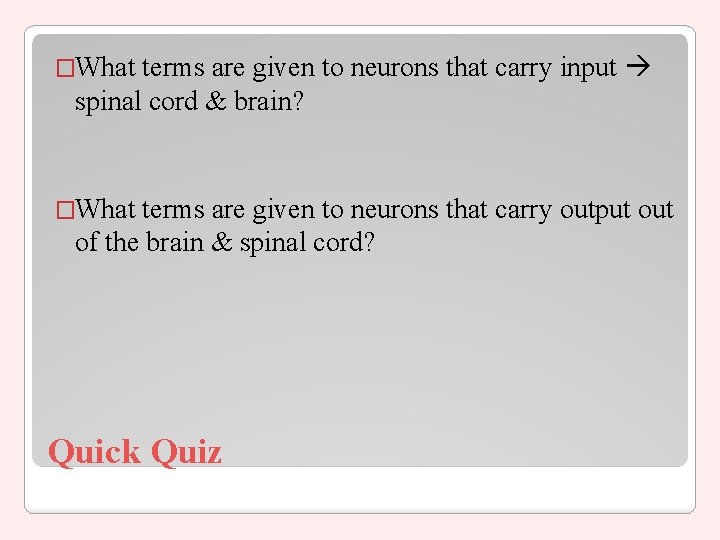 terms are given to neurons that carry input spinal cord & brain? �What terms