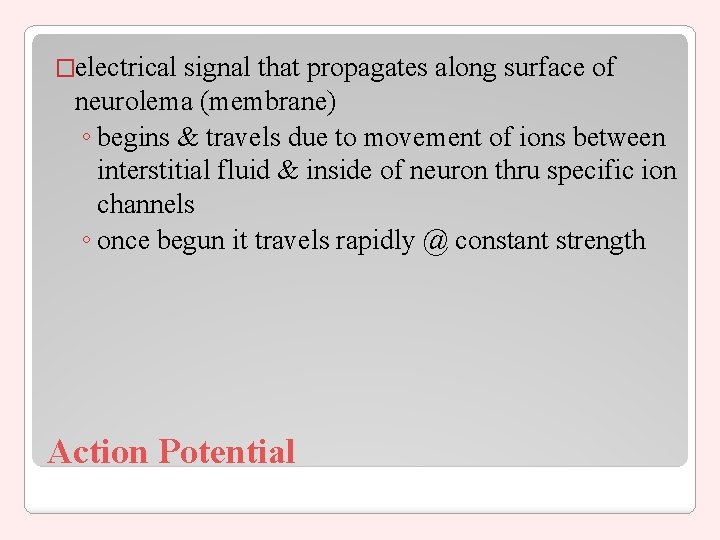 �electrical signal that propagates along surface of neurolema (membrane) ◦ begins & travels due