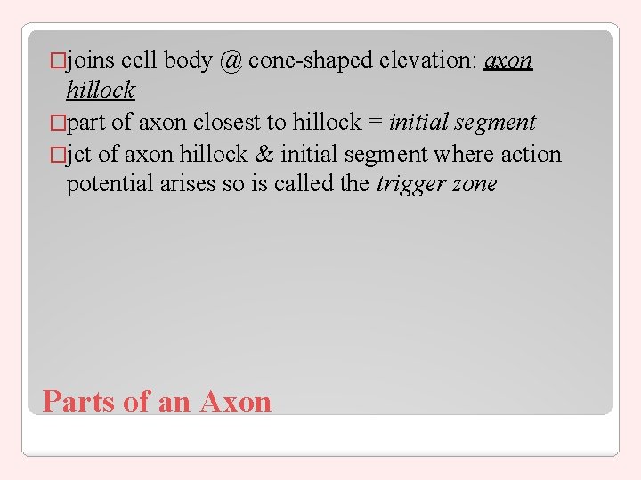 �joins cell body @ cone-shaped elevation: axon hillock �part of axon closest to hillock