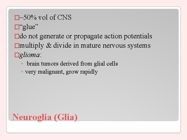 �~50% vol of CNS �“glue” �do not generate or propagate action potentials �multiply &