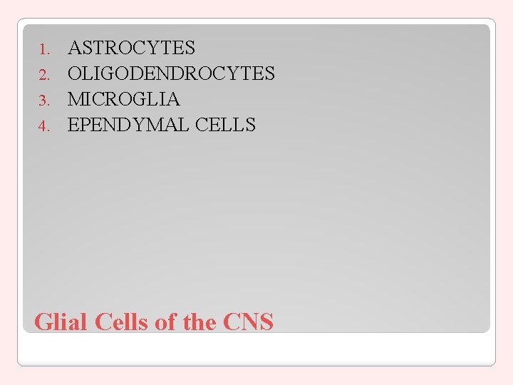 ASTROCYTES 2. OLIGODENDROCYTES 3. MICROGLIA 4. EPENDYMAL CELLS 1. Glial Cells of the CNS