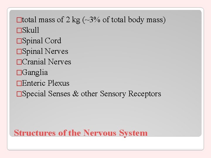 �total mass of 2 kg (~3% of total body mass) �Skull �Spinal Cord �Spinal