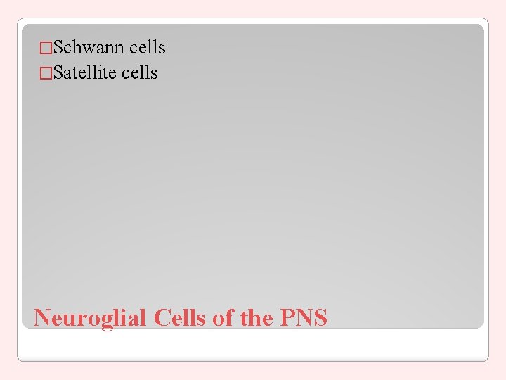 �Schwann cells �Satellite cells Neuroglial Cells of the PNS 