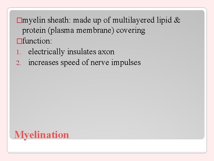 �myelin sheath: made up of multilayered lipid & protein (plasma membrane) covering �function: 1.