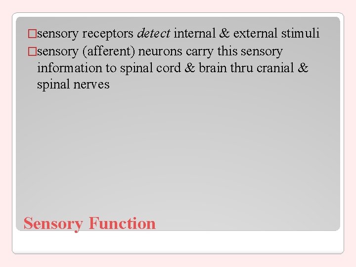 �sensory receptors detect internal & external stimuli �sensory (afferent) neurons carry this sensory information