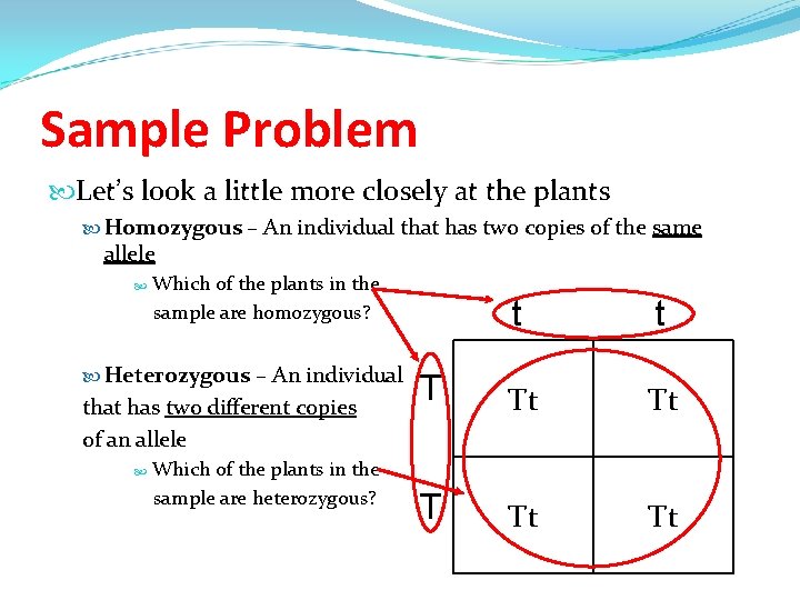 Sample Problem Let’s look a little more closely at the plants Homozygous – An