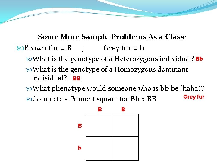 Some More Sample Problems As a Class: Brown fur = B ; Grey fur