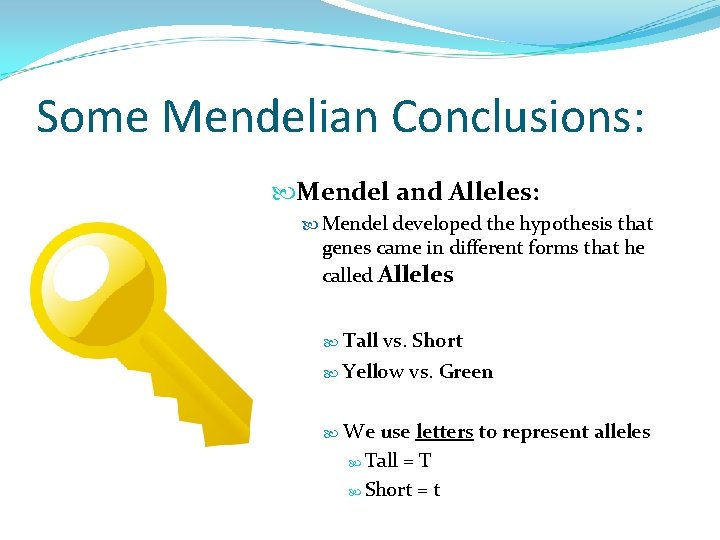 Some Mendelian Conclusions: Mendel and Alleles: Mendel developed the hypothesis that genes came in