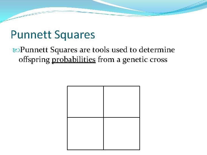 Punnett Squares are tools used to determine offspring probabilities from a genetic cross 