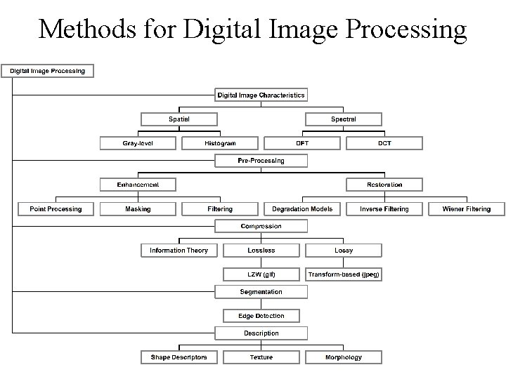 Methods for Digital Image Processing 