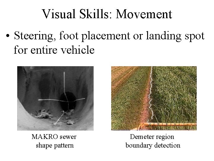 Visual Skills: Movement • Steering, foot placement or landing spot for entire vehicle MAKRO