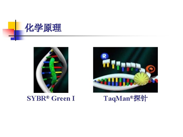 化学原理 SYBR® Green I Taq. Man®探针 