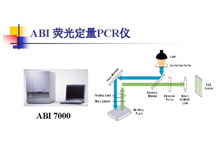 ABI 荧光定量PCR仪 ABI 7000 