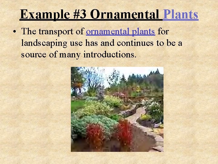 Example #3 Ornamental Plants • The transport of ornamental plants for landscaping use has