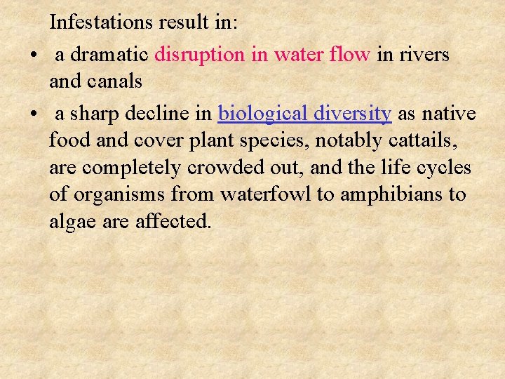 Infestations result in: • a dramatic disruption in water flow in rivers and canals