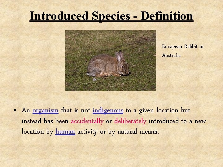 Introduced Species - Definition European Rabbit in Australia • An organism that is not