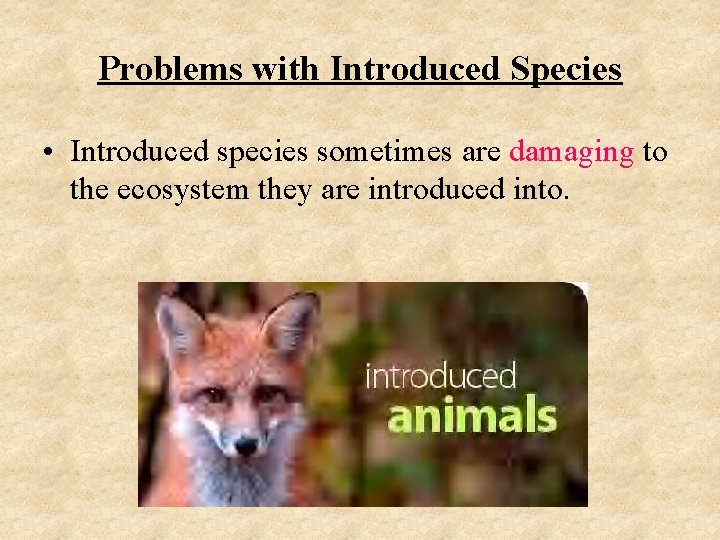 Problems with Introduced Species • Introduced species sometimes are damaging to the ecosystem they