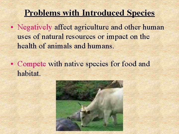 Problems with Introduced Species • Negatively affect agriculture and other human uses of natural