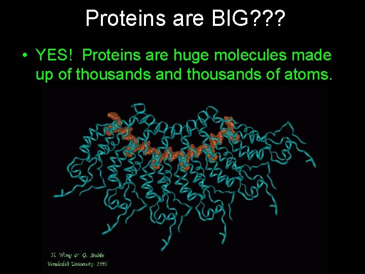 How big is BIG Or How small is
