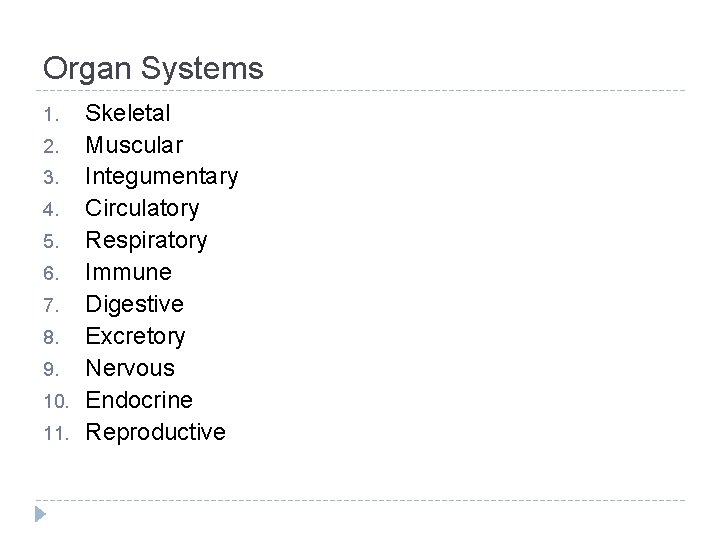 Organ Systems 1. 2. 3. 4. 5. 6. 7. 8. 9. 10. 11. Skeletal