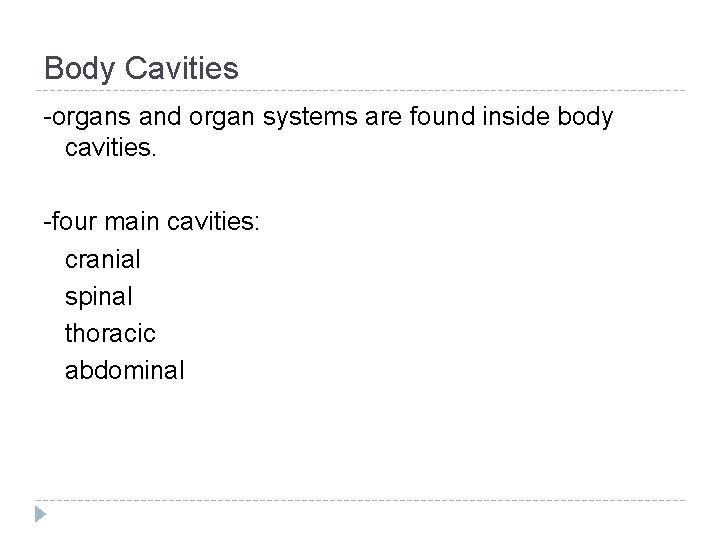 Body Cavities -organs and organ systems are found inside body cavities. -four main cavities: