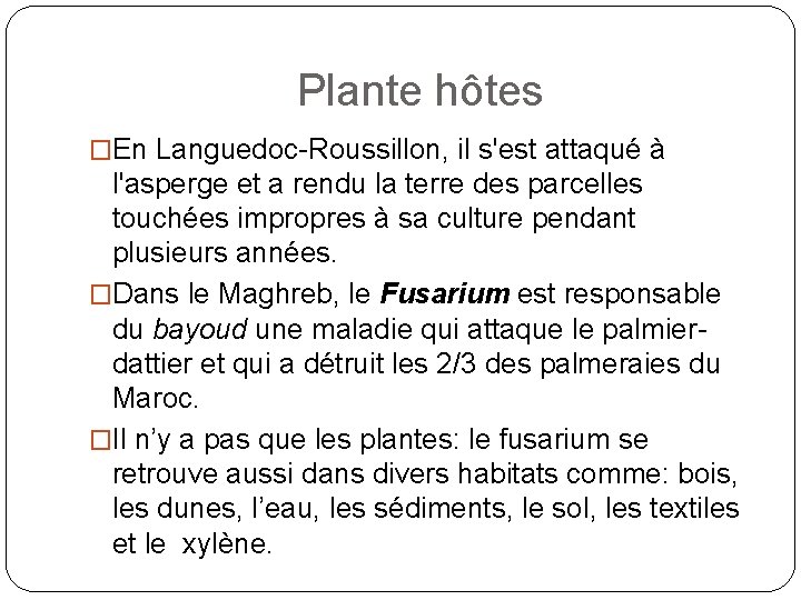 Plante hôtes �En Languedoc-Roussillon, il s'est attaqué à l'asperge et a rendu la terre